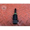 Sonde d'air 