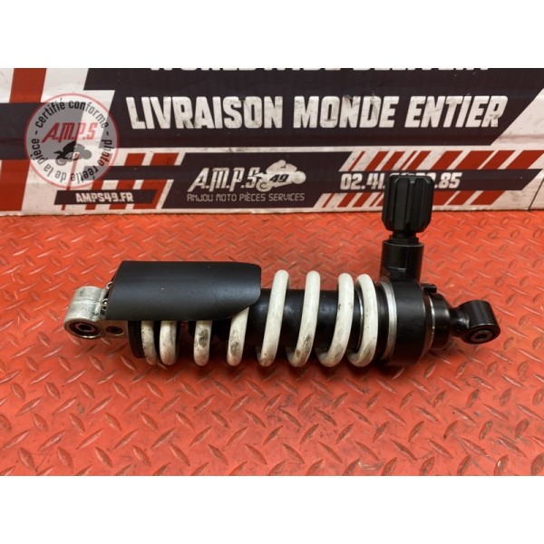 Amortisseur arrière 