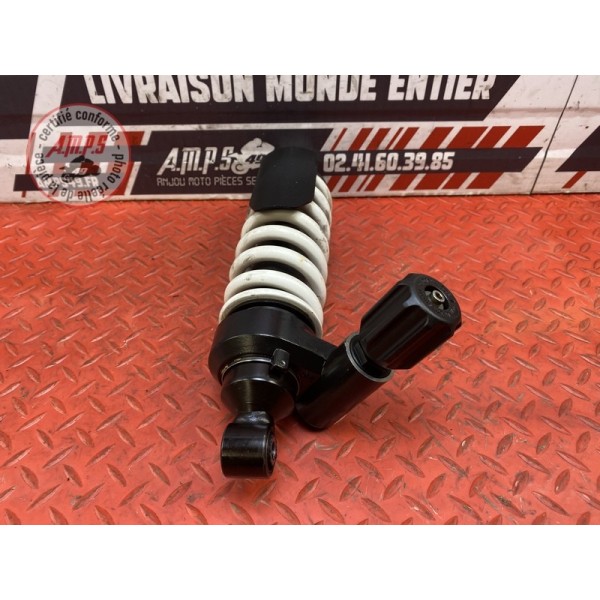 Amortisseur arrière 