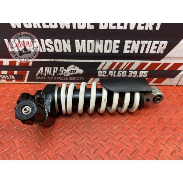 Amortisseur arrière 