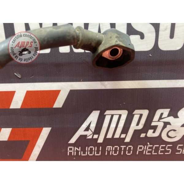 Cable de masse 