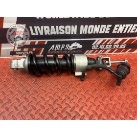 Amortisseur arrière 