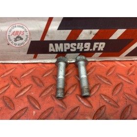 Vis d'etrier arriere 