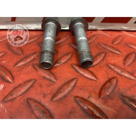 Vis d'etrier arriere 