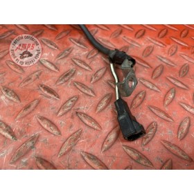 Cable de masse 