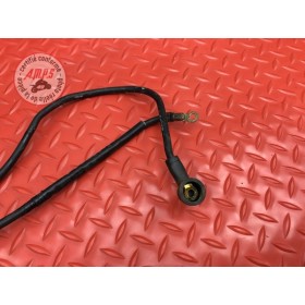 Cable de masse 