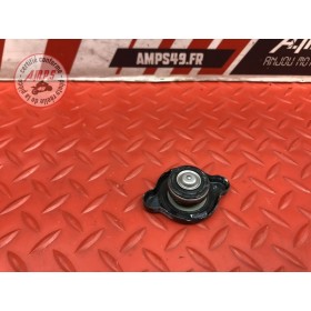 Bouchon de remplissage d'eau 