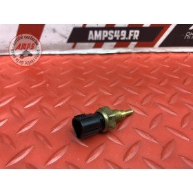 Sonde de température d'eau 