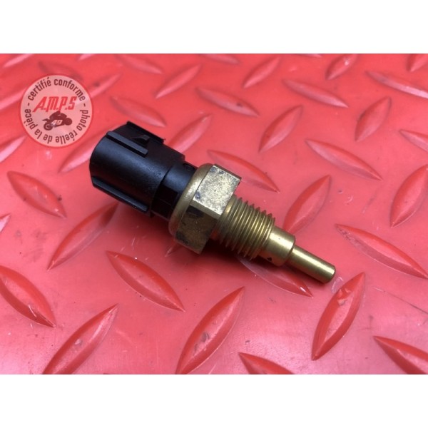 Sonde de température d'eau 