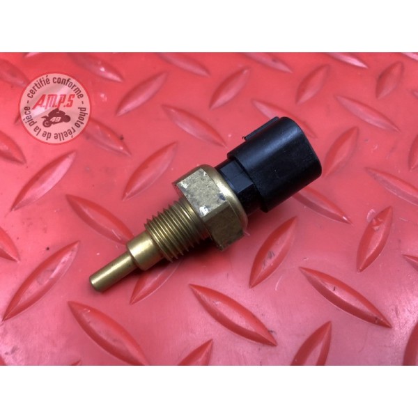 Sonde de température d'eau 