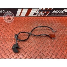 Cable de batterie 