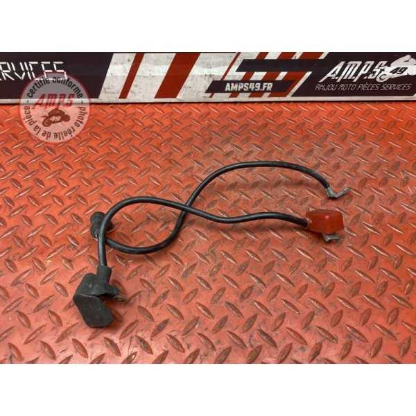 Cable de batterie 