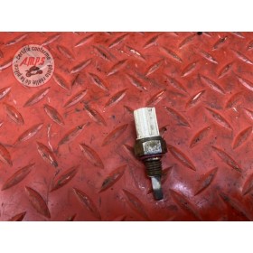 Sonde de température d'eau 