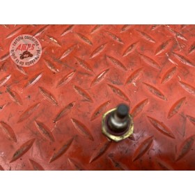 Sonde de température d'eau 