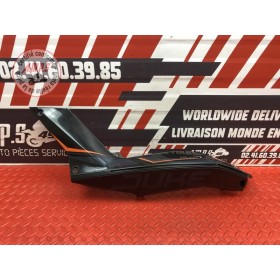 Coque arrière gauche 