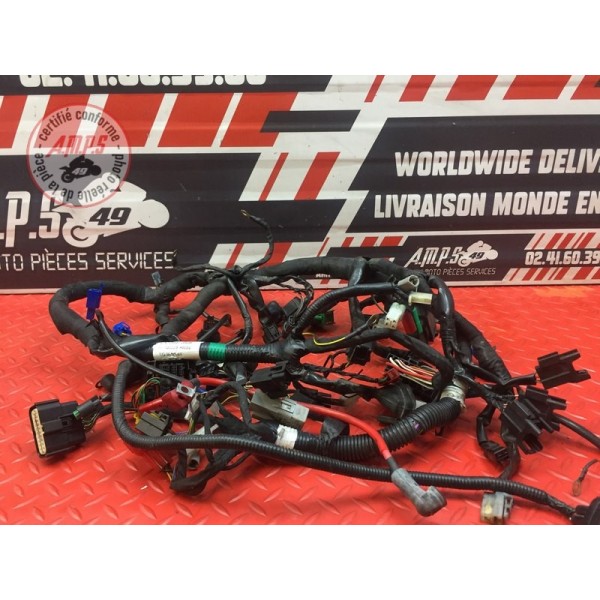 Faisceau électrique principale 