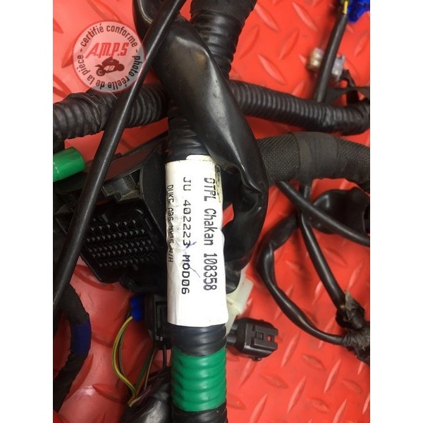 Faisceau électrique principale 