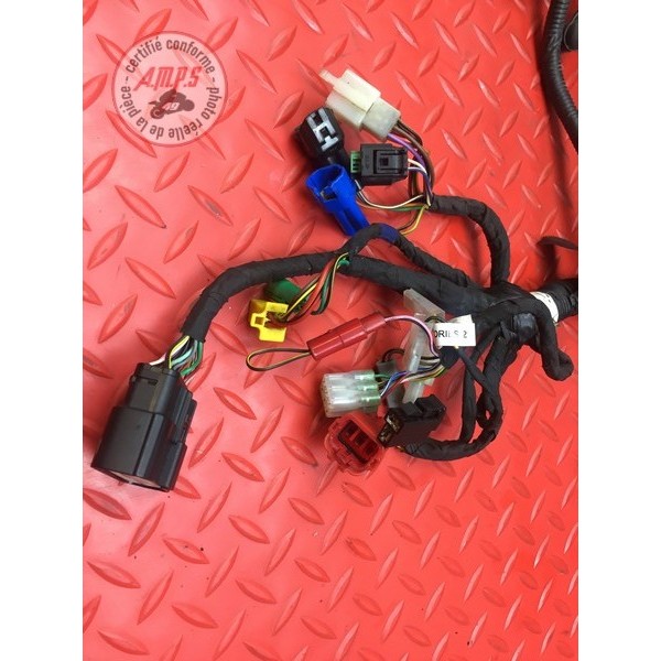 Faisceau électrique principale 