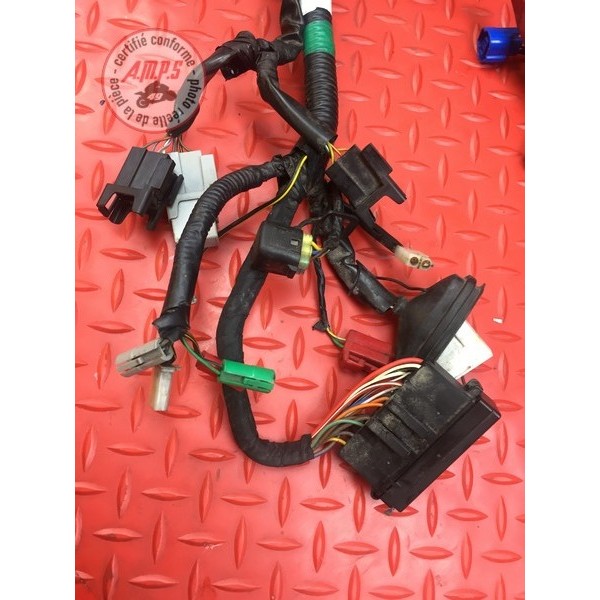 Faisceau électrique principale 