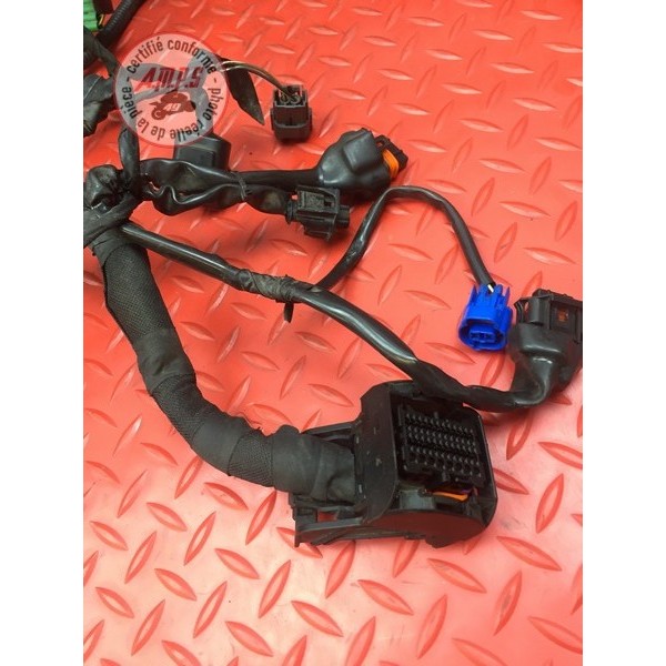 Faisceau électrique principale 