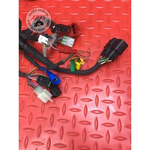 Faisceau électrique principale 