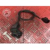 Antenne de neiman 