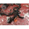 Faisceau électrique principale 