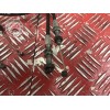 Cable de valve d'échappement 