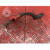 Cable de batterie 