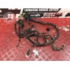 Faisceau électrique principale 