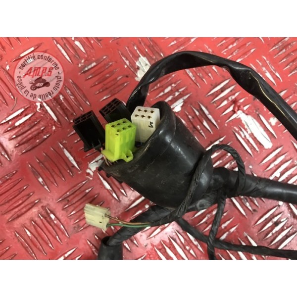 Faisceau électrique principale 