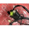 Faisceau électrique principale