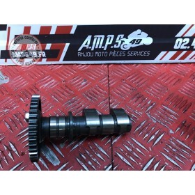 Arbre a came echappement 