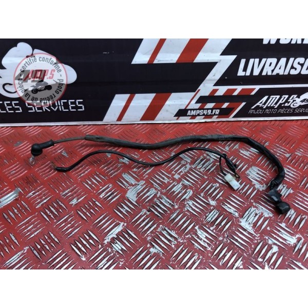 Cable de masse