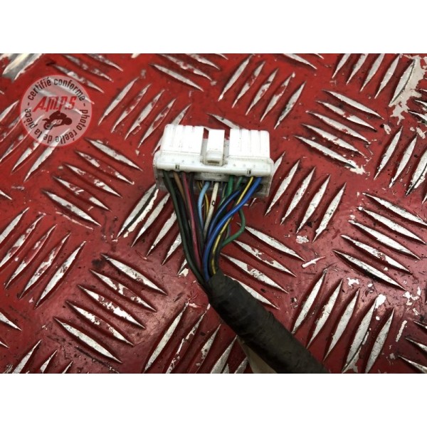 Faisceau électrique avant 