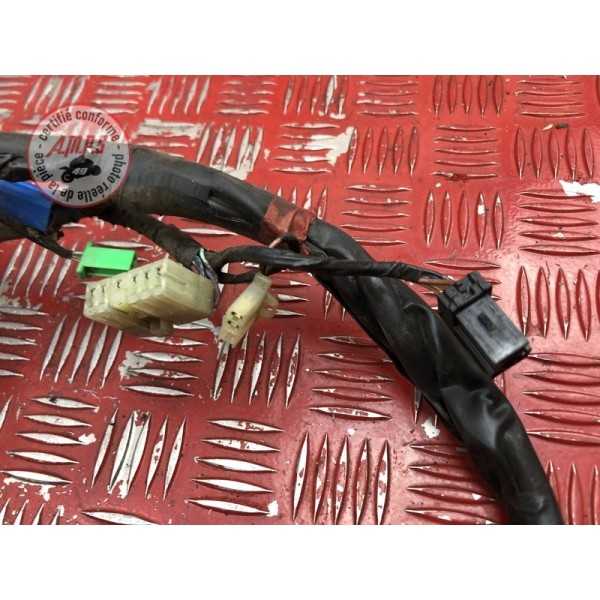 Faisceau électrique principale 
