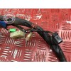 Faisceau électrique principale 