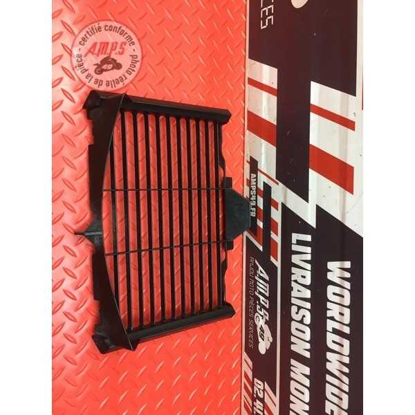 Grille de radiateur 