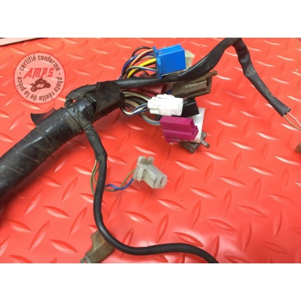 Faisceau électrique principale 