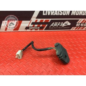 Regulateur de tension 