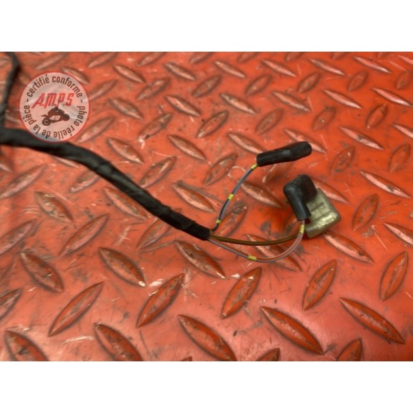 Faisceau electrique arriere 