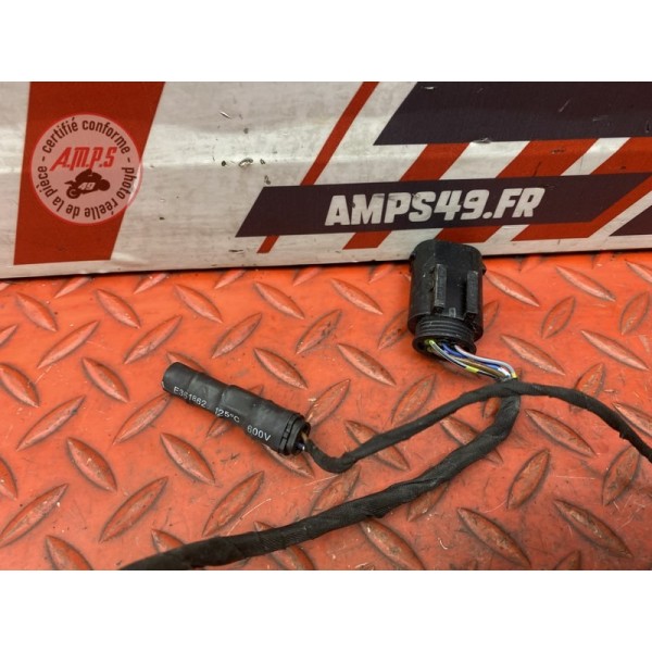 Faisceau electrique arriere 