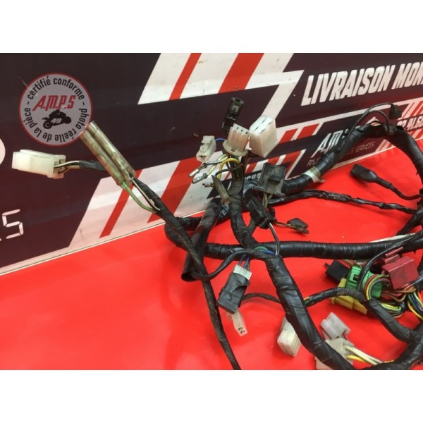 Faisceau électrique principale 