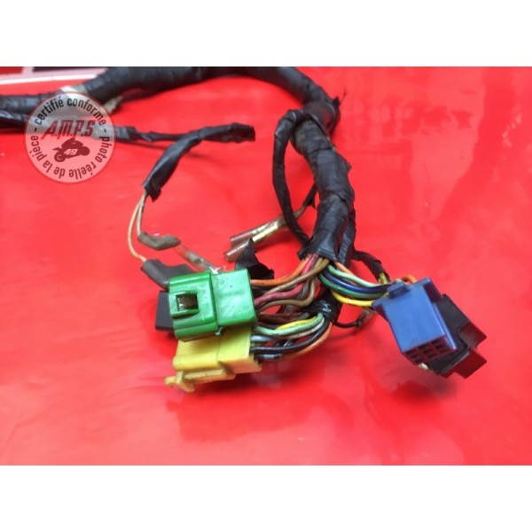 Faisceau électrique principale 