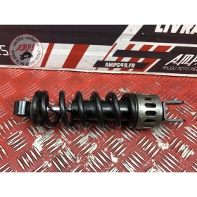 Amortisseur arrière 