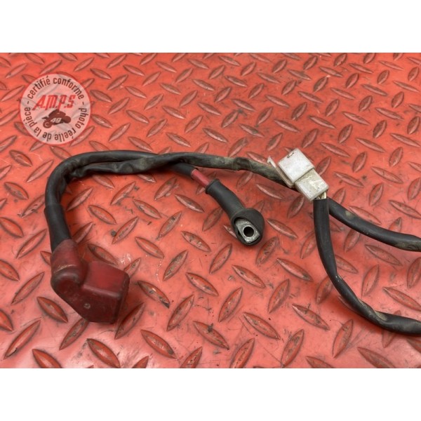 Cable de batterie 
