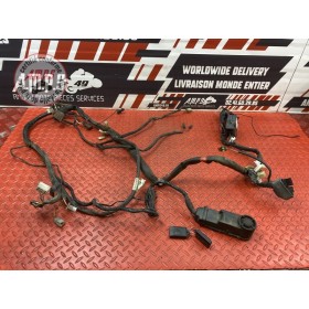 Faisceau électrique principale 