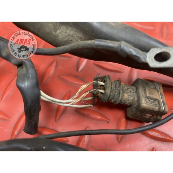 Faisceau électrique principale 