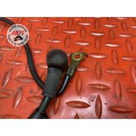 Cable de masse 