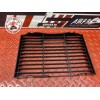Grille de radiateur 
